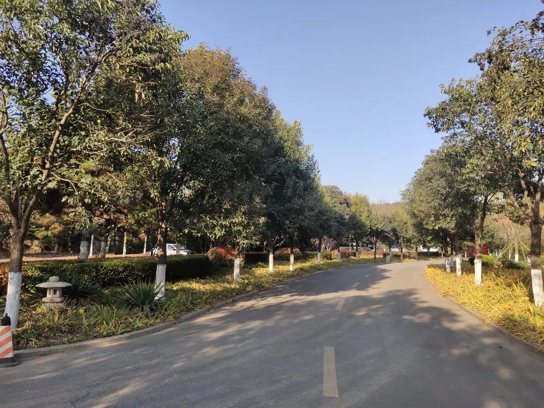 202011141605319677355271.jpg 6403.jpg