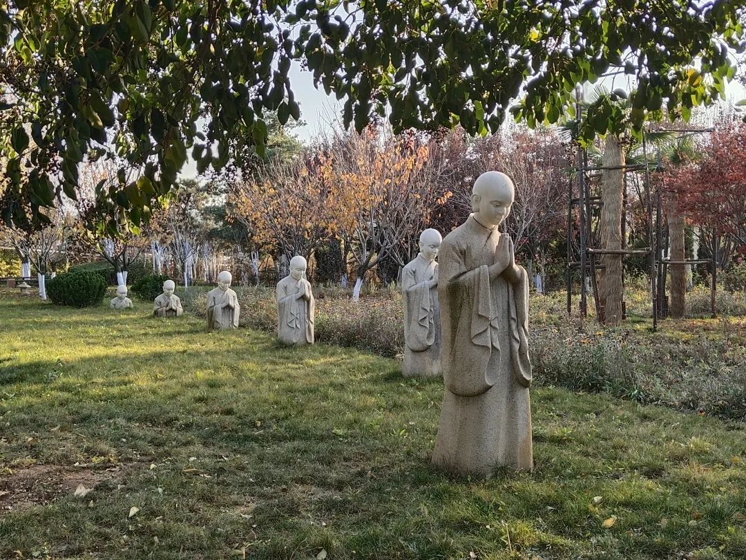 202011141605319787766776.jpg 6406.jpg