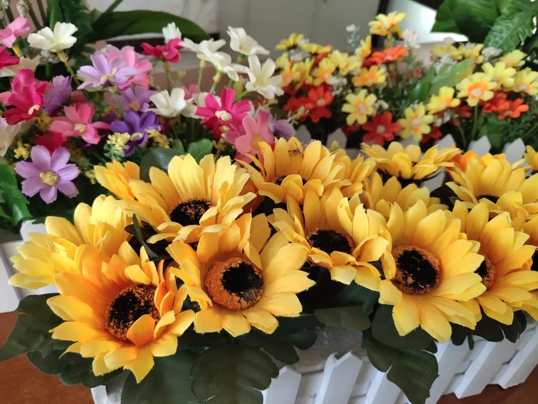 202011141605319957859472.jpg 202011141605319957859472.jpg