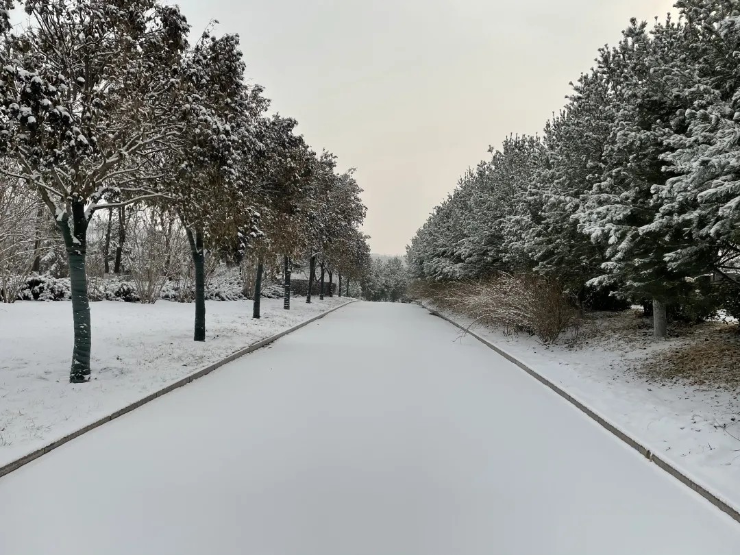 640_wx_fmt=jpeg&tp=webp&wxfrom=5&wx_lazy=1&wx_co=1.webp (2).jpg