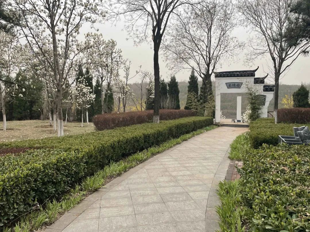 202103221616406686884488.jpg 640.jpg